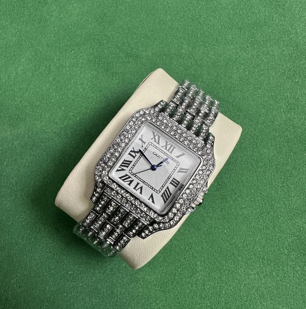 Rolex Watch Collection — QC
