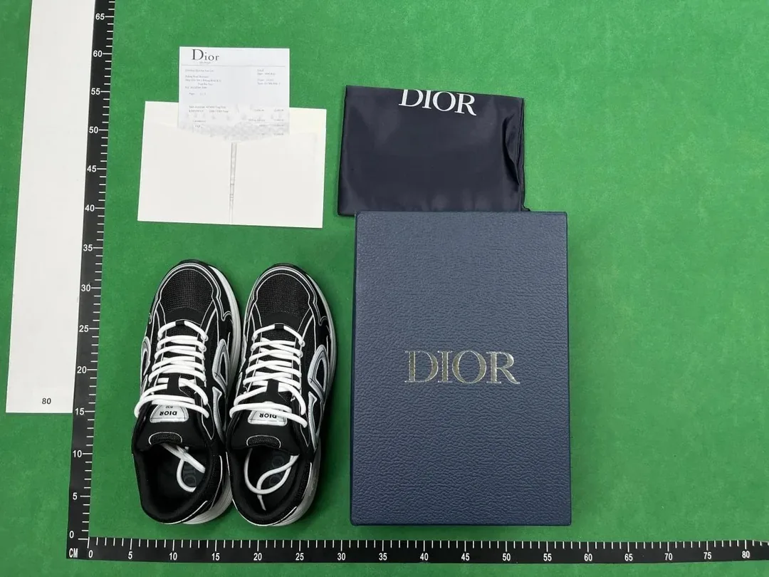 Dior B30 Grey Sneakers