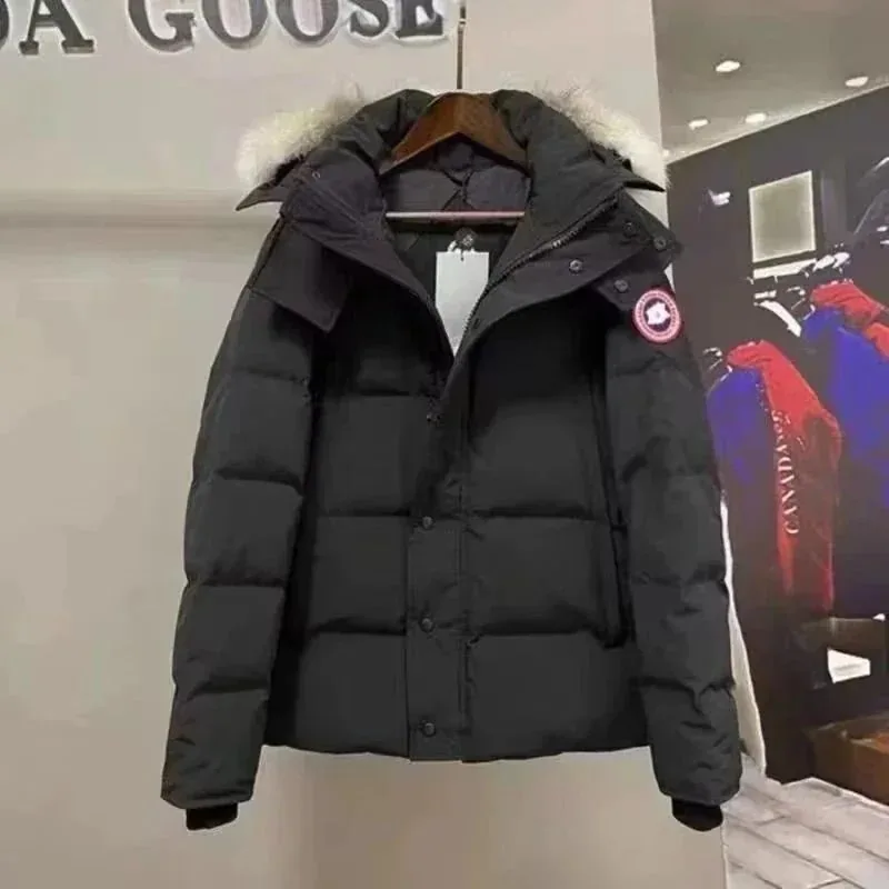 Down Jacket — QC