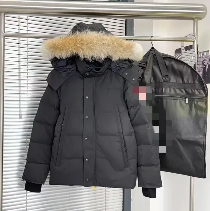 Fleece-Lined Tee — Photo 3