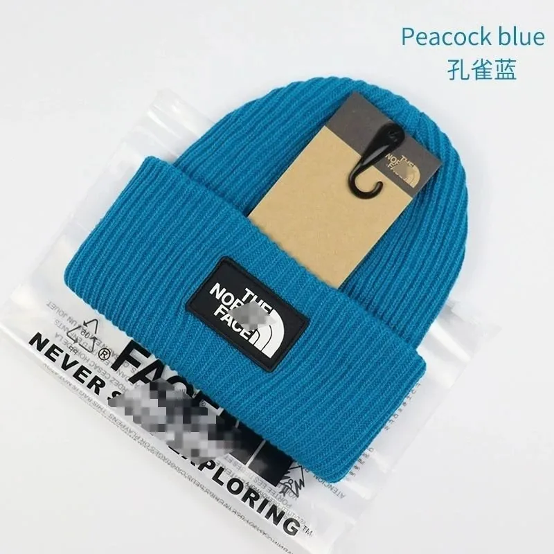 Knit Ski Beanie — QC