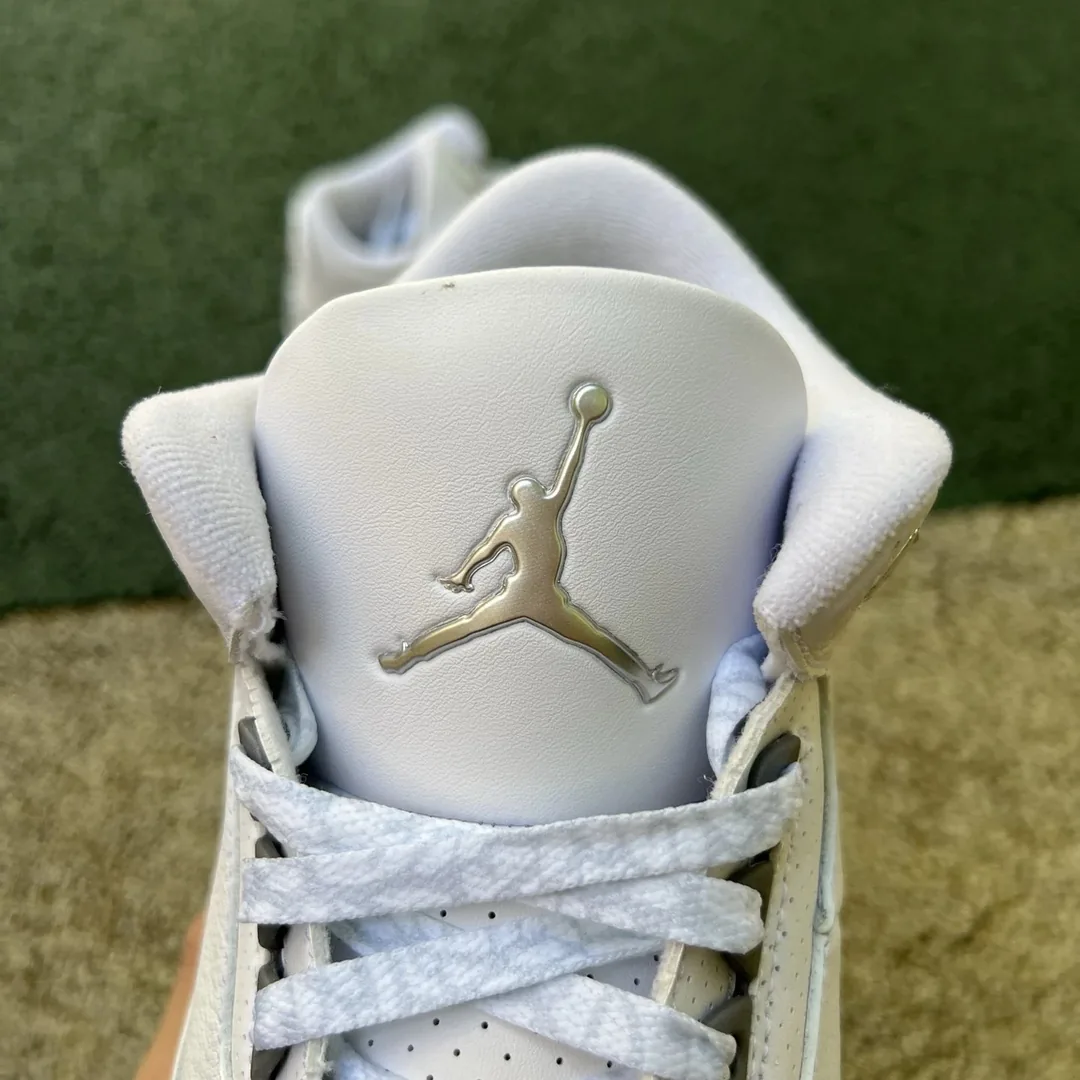 Air Jordan 3 Pure Money — photo 6
