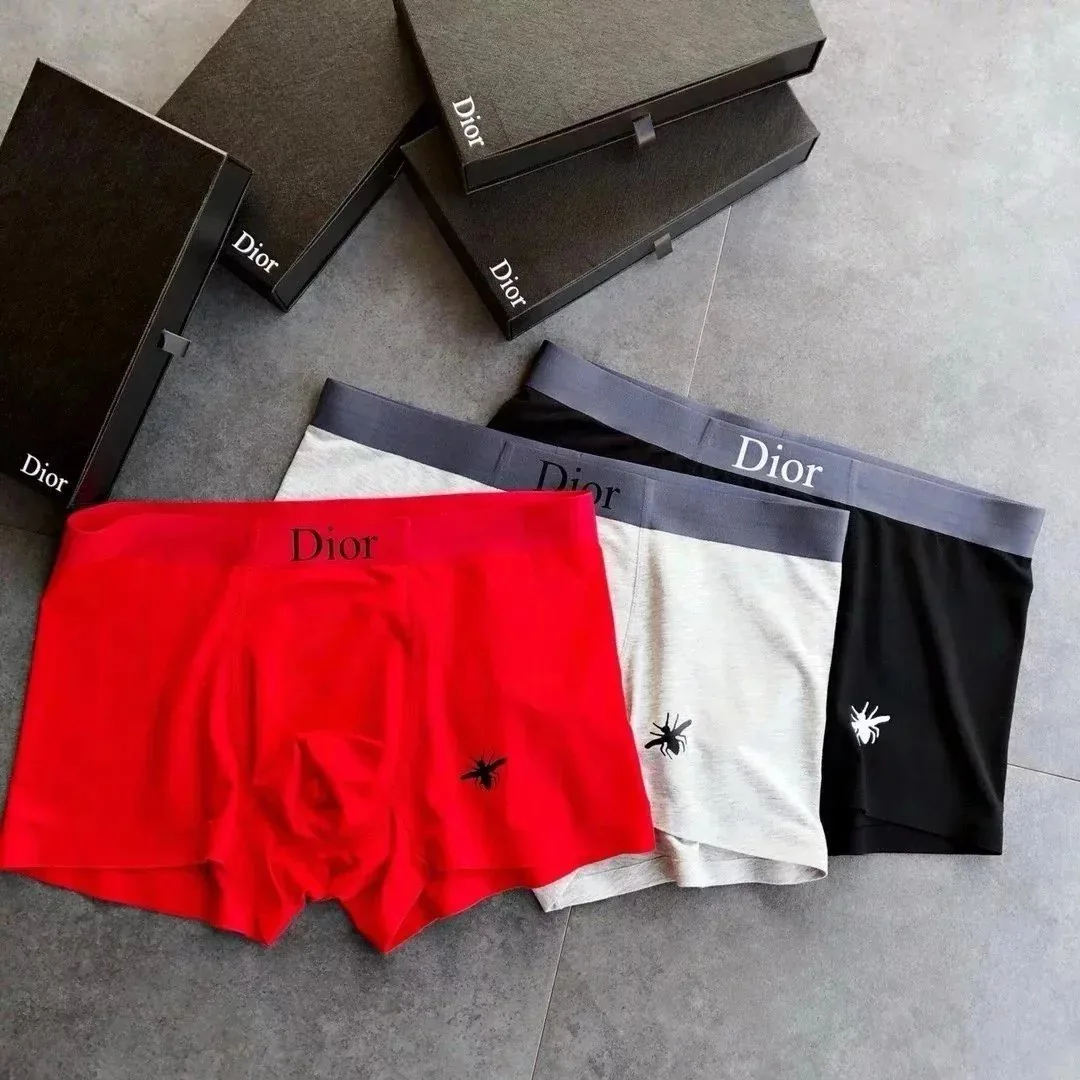 Boxer Briefs — Photo 12