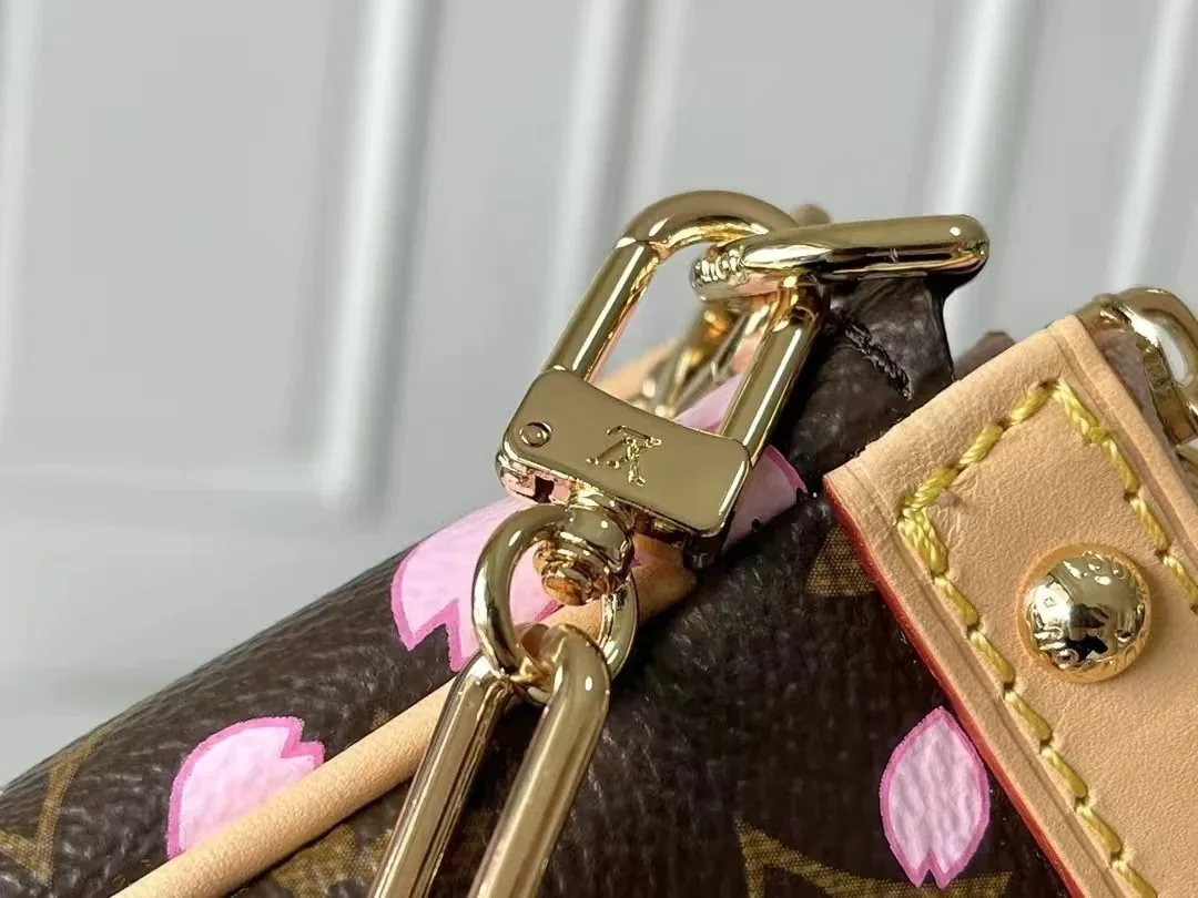 Louis Vuitton Bag — Photo 6