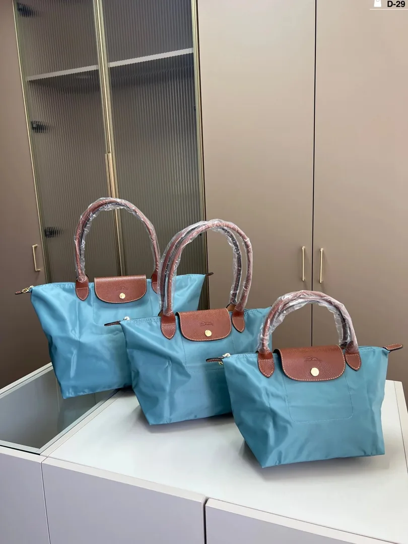Longchamp Dumpling Bag — photo 6