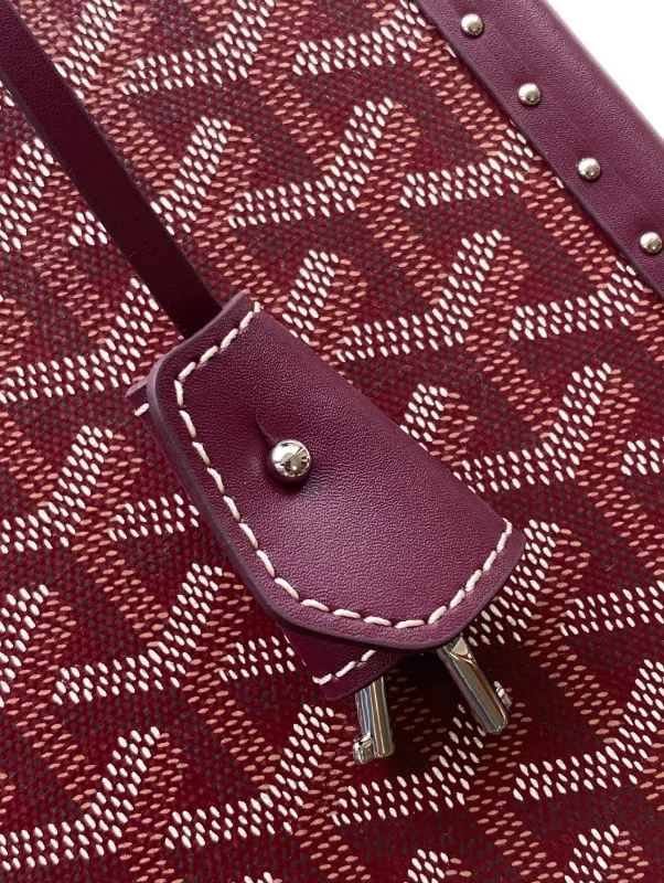 Goyard Watch Case Trunk Bag — photo 4