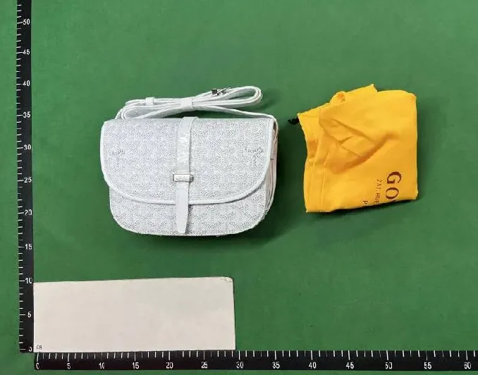 Goyard Leather Bag — QC