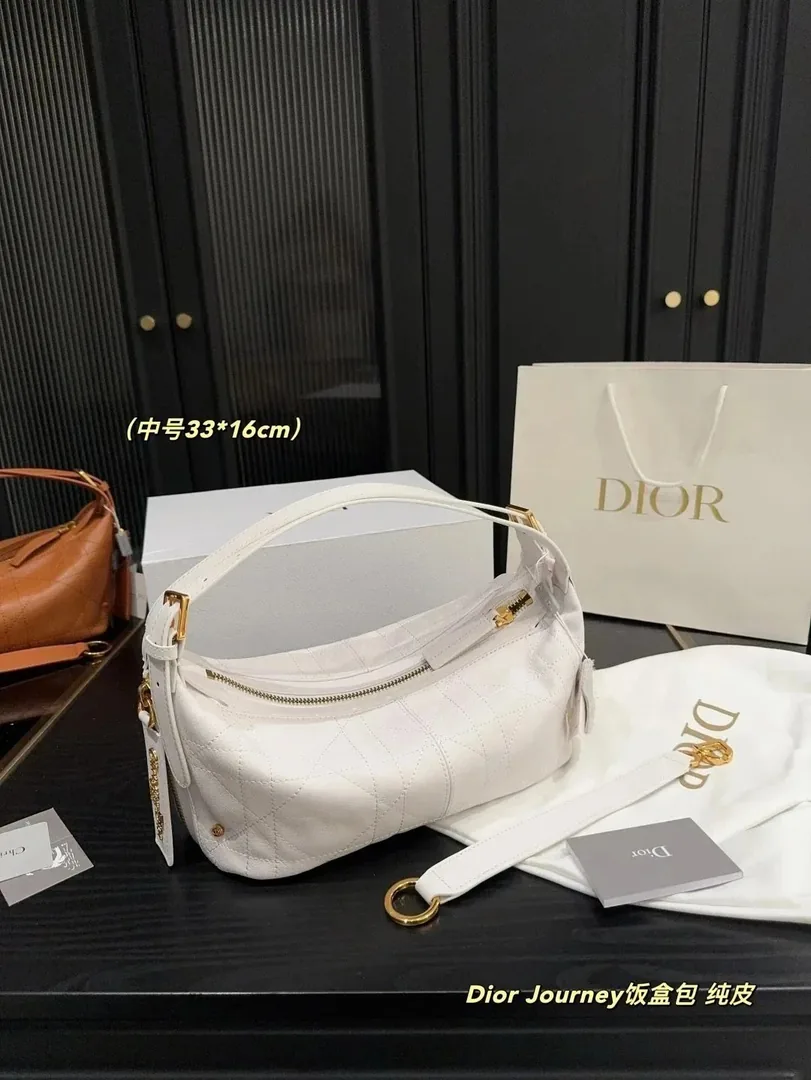 Dior Journey Leather Hobo Bag