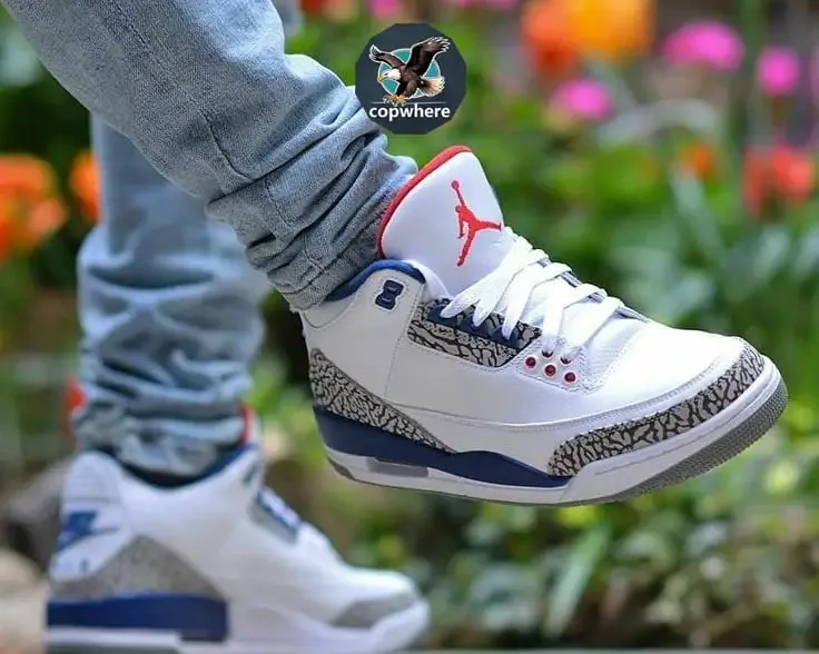 Air Jordan 3 White Sneakers