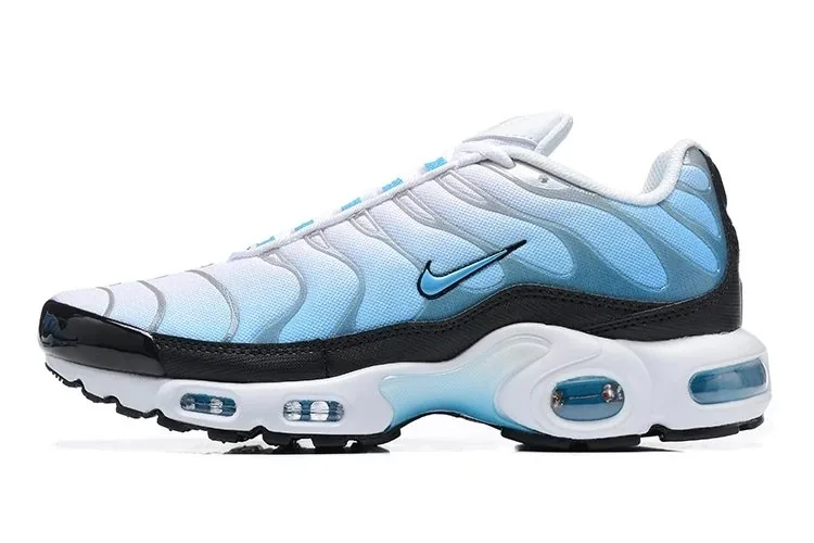 Nike Air Max Plus TN — QC