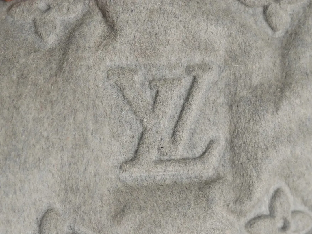 Louis Vuitton Embossed Monogram Down Jacket — photo 7
