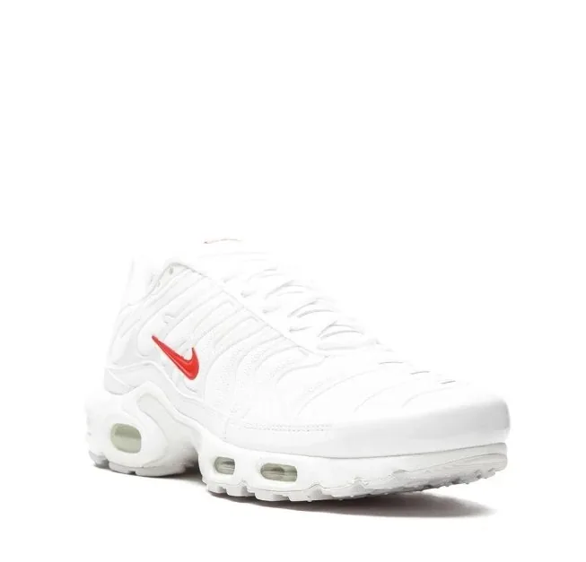 Nike Air Max Plus Supreme — QC