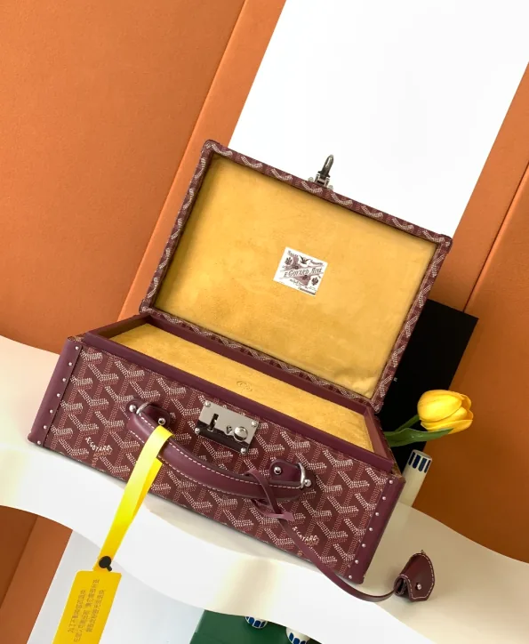 Goyard Watch Case Trunk Bag — photo 3