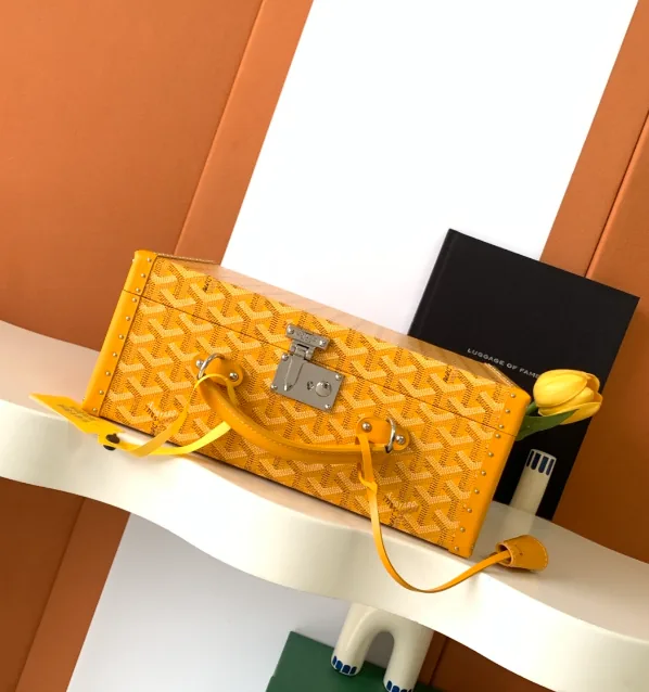 Goyard Watch Case Trunk Bag — Photo 15