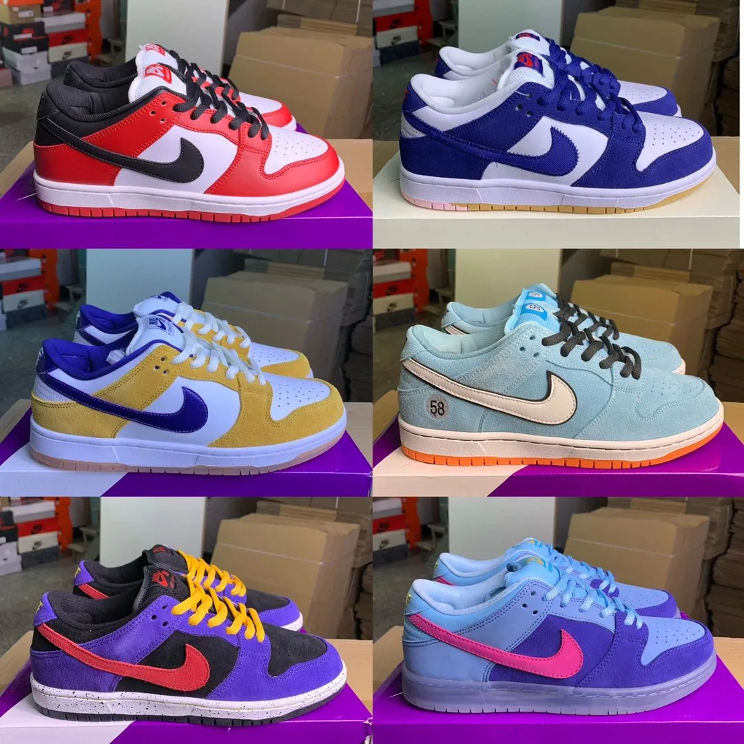 Nike Dunk Skate Shoes