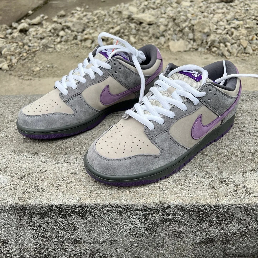 Nike SB Dunk Pigeon Sneakers — Photo 14