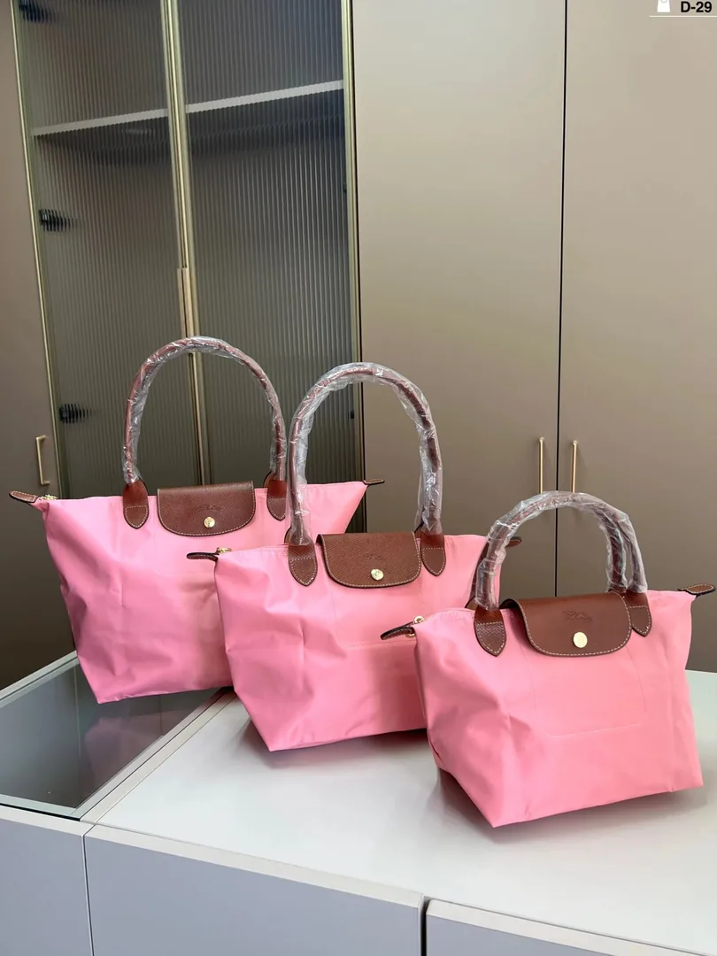 Longchamp Dumpling Bag — photo 5