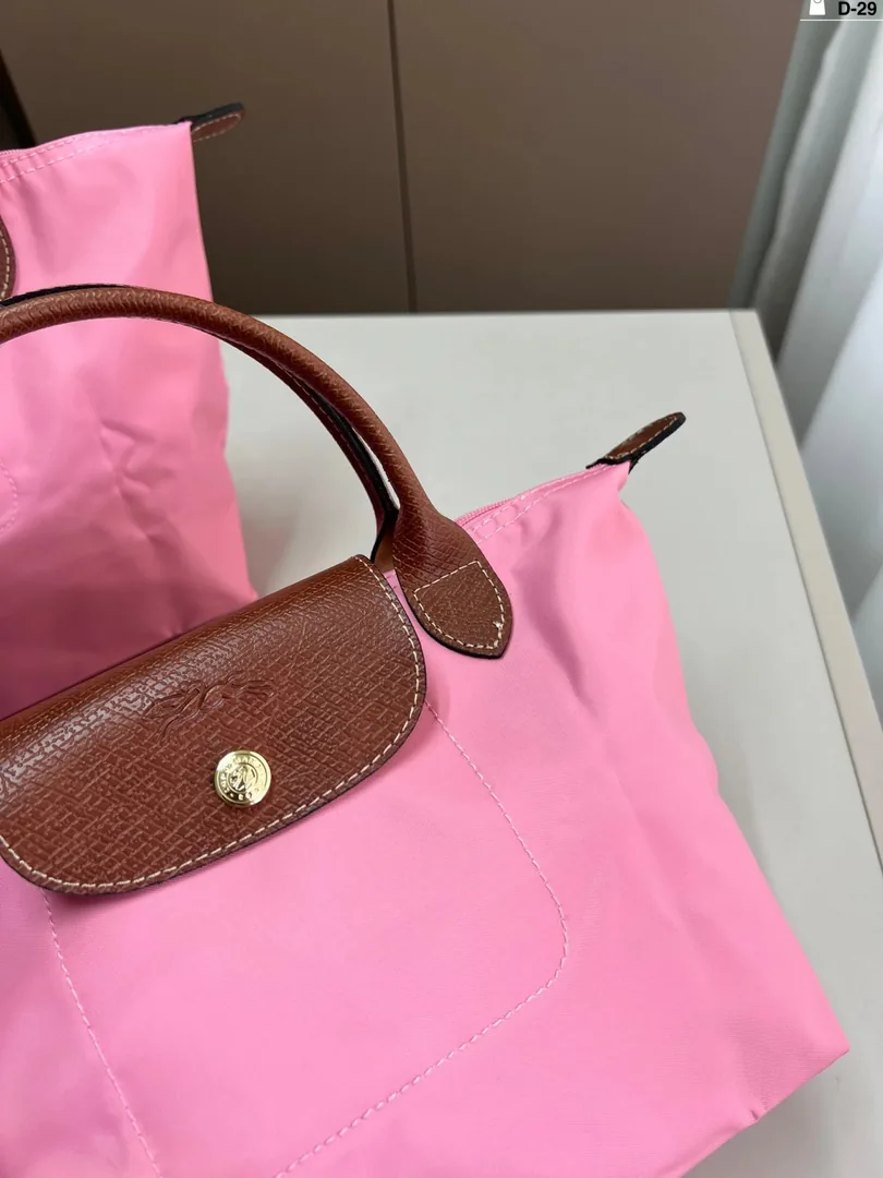 Longchamp Dumpling Bag — photo 11