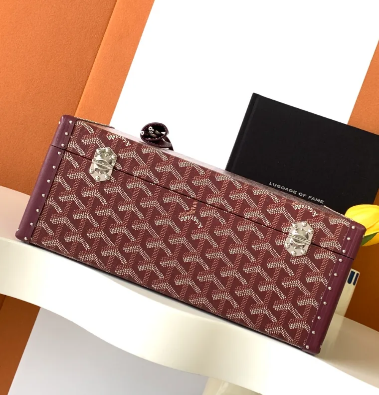 Goyard Watch Case Trunk Bag — photo 8