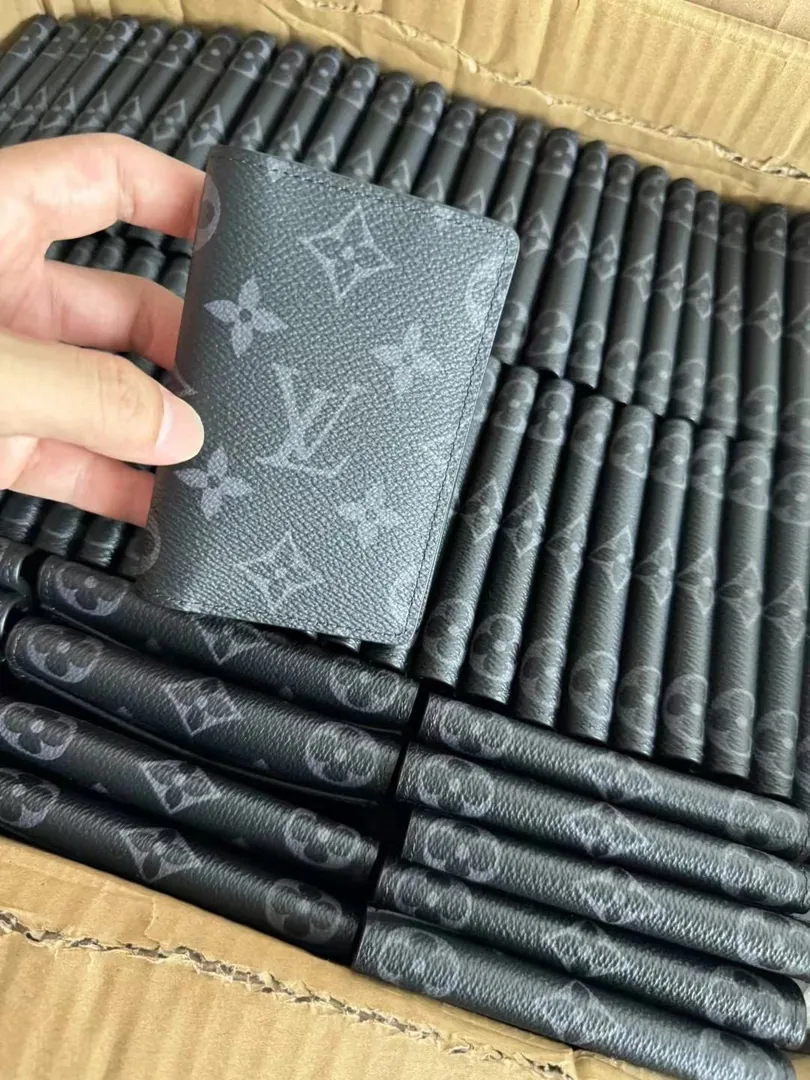 Louis Vuitton Leather Bag