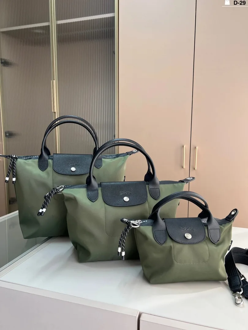 Longchamp Dumpling Bag