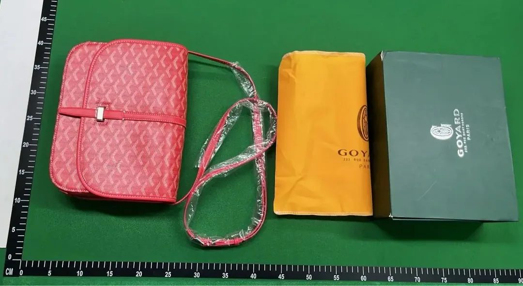 Goyard Leather Bag — QC