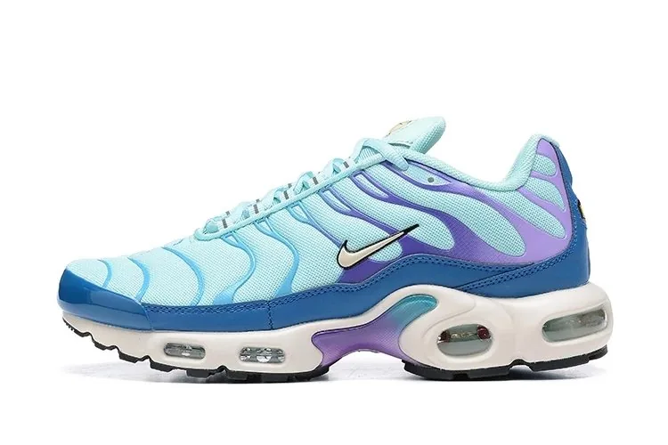 Multicolor Nike Air Max Plus TN — QC