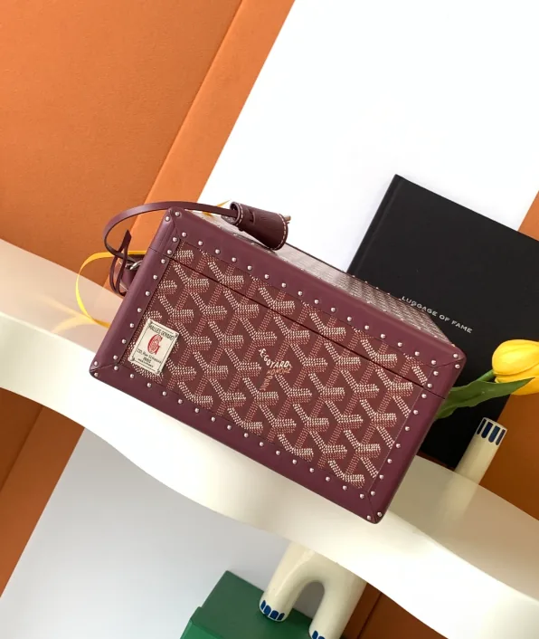 Goyard Watch Case Trunk Bag — photo 5