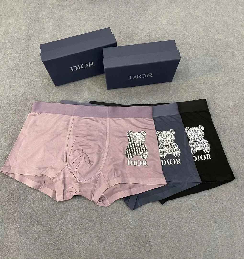 Dior Boxer Briefs — photo 12