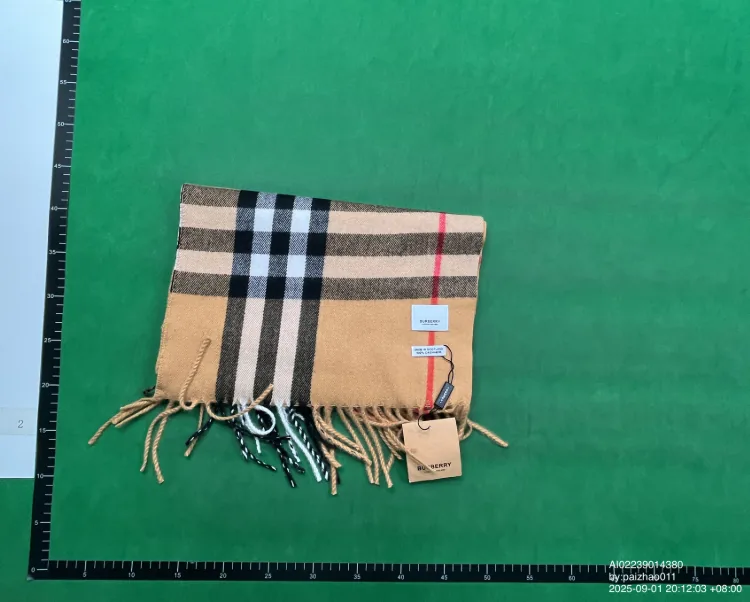 Burberry Plaid Scarf — QC