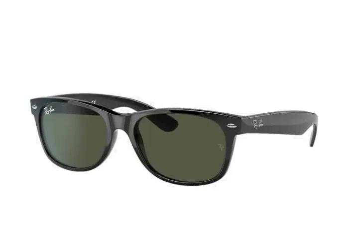 New Wayfarer Classic Sunglasses