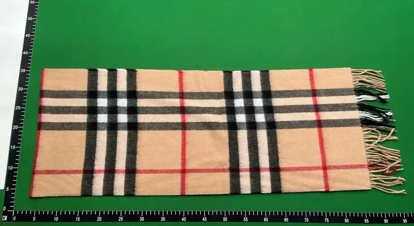 Burberry Plaid Scarf — QC