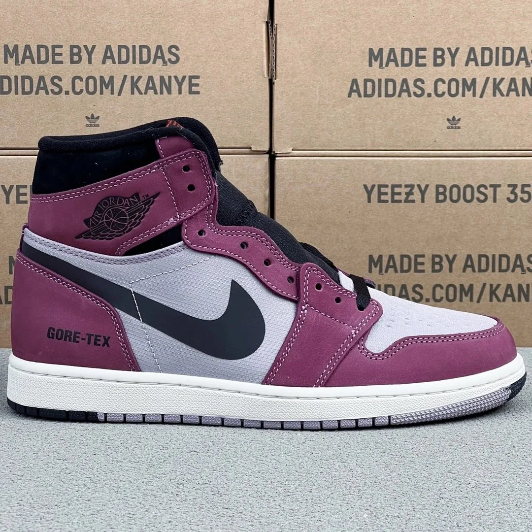 Air Jordan 1 High Gore-Tex — Photo 13