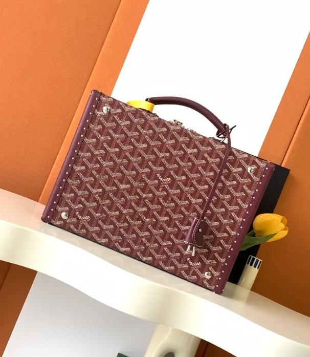 Goyard Watch Case Trunk Bag — photo 9