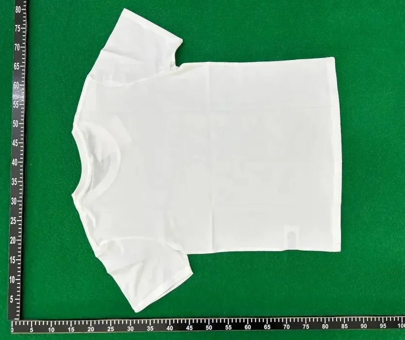 Cotton Embroidered Crewneck T-Shirt — Photo 14