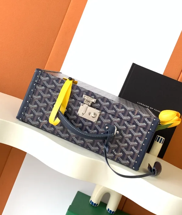 Goyard Watch Case Trunk Bag — photo 10