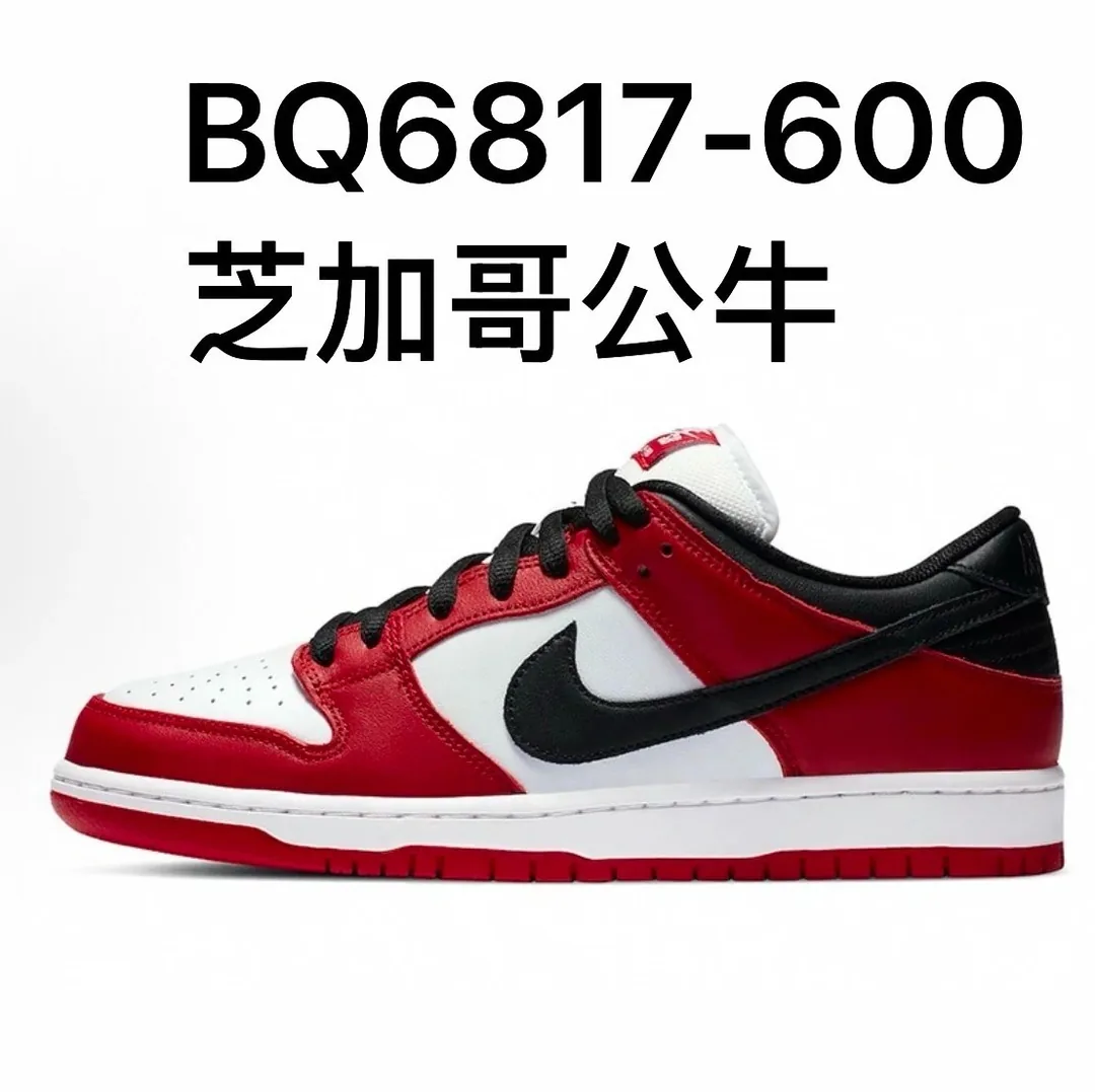 Nike Dunk Sneakers — QC