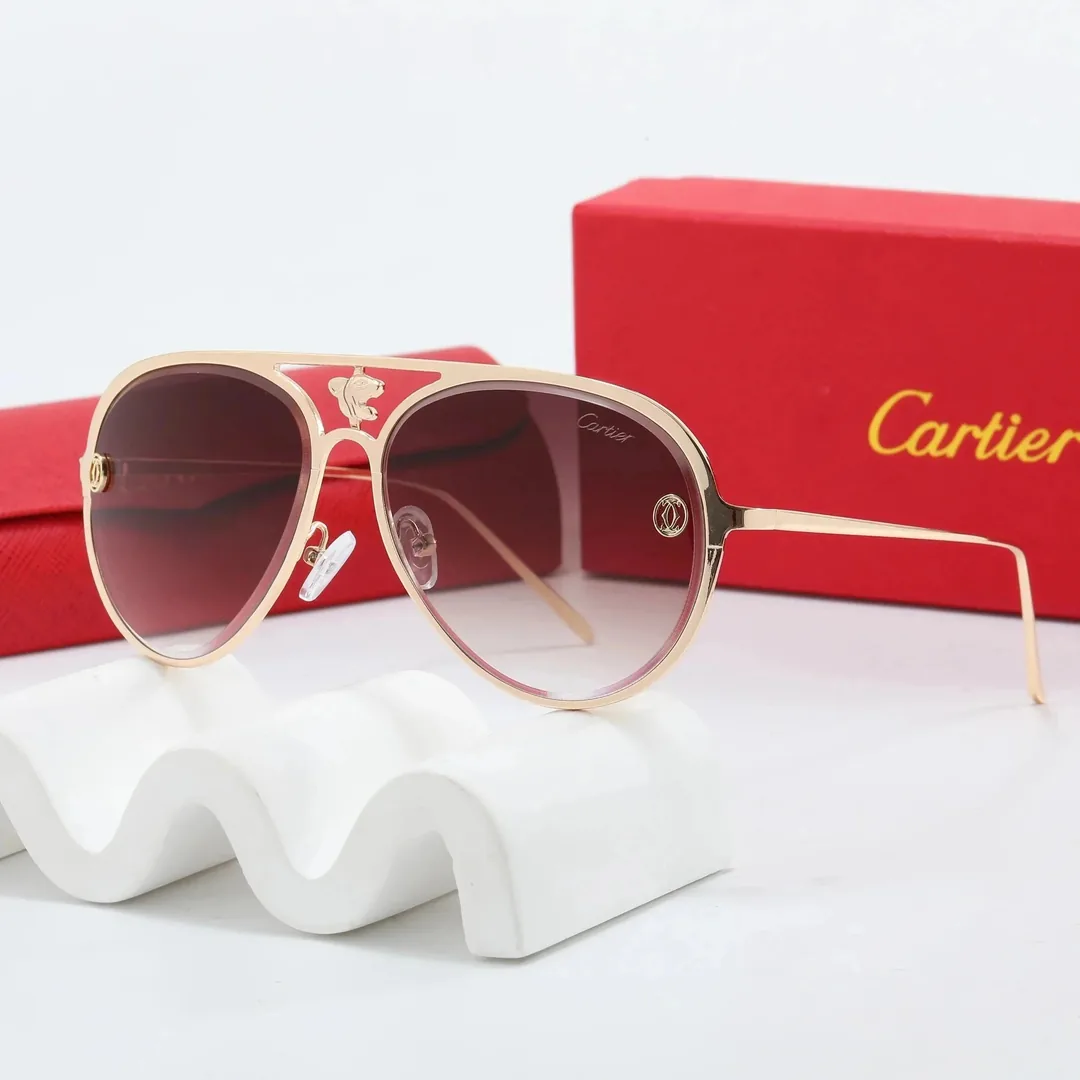 Cartier Metal Frame Sunglasses Collection — Photo 13