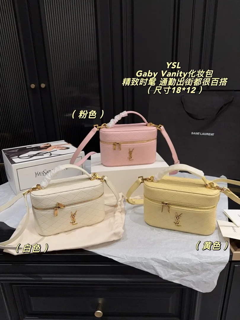 Saint Laurent Gaby Vanity Case Bag