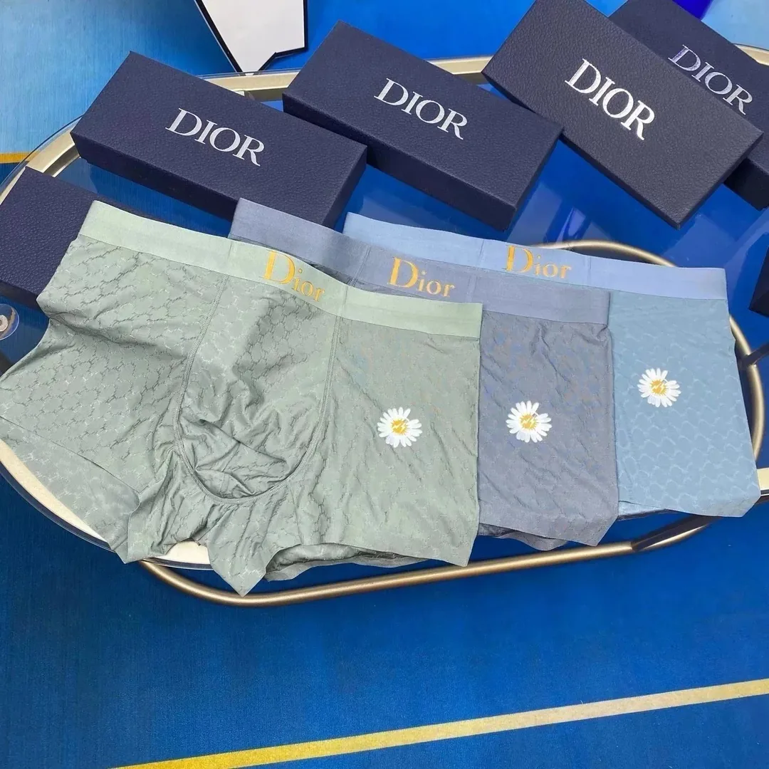 Boxer Briefs — Photo 13