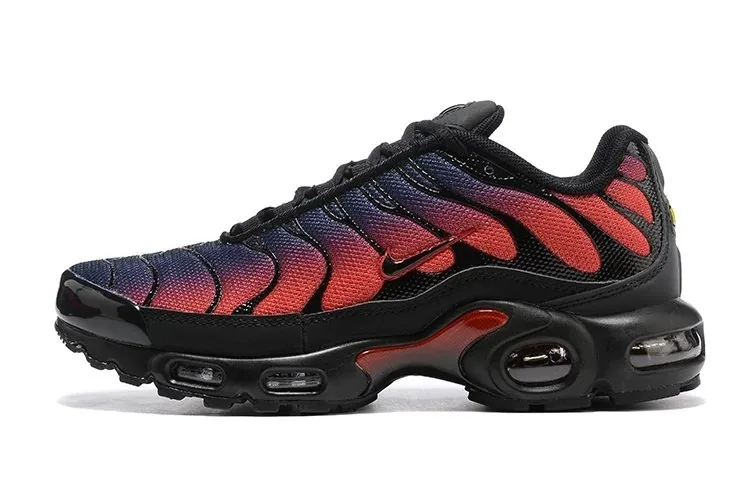 Nike Air Max Plus TN — QC