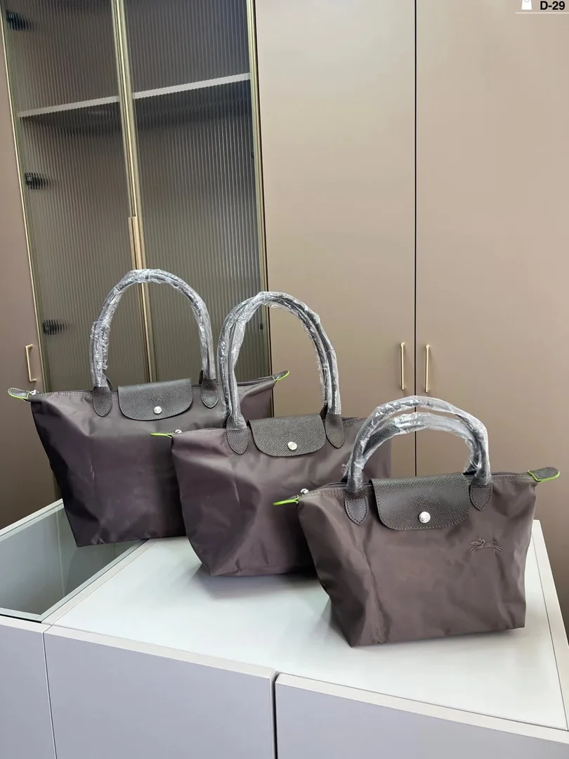 Longchamp Dumpling Bag — photo 7