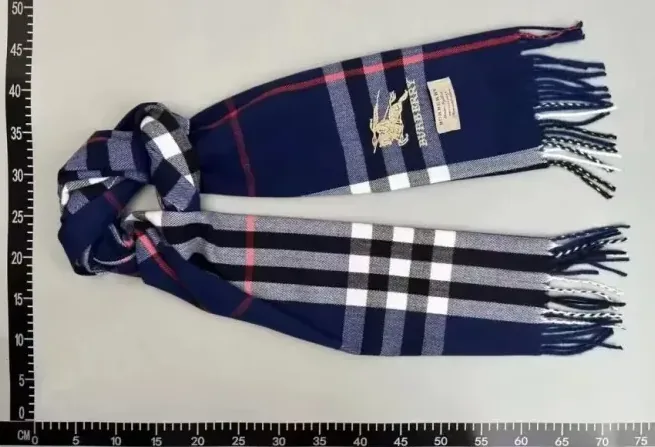 Burberry Plaid Scarf — QC