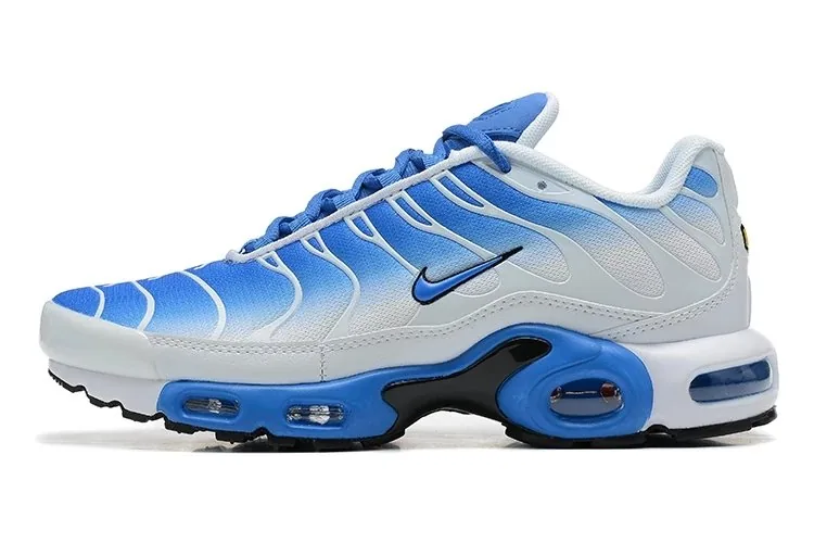 Nike Air Max Plus TN — QC