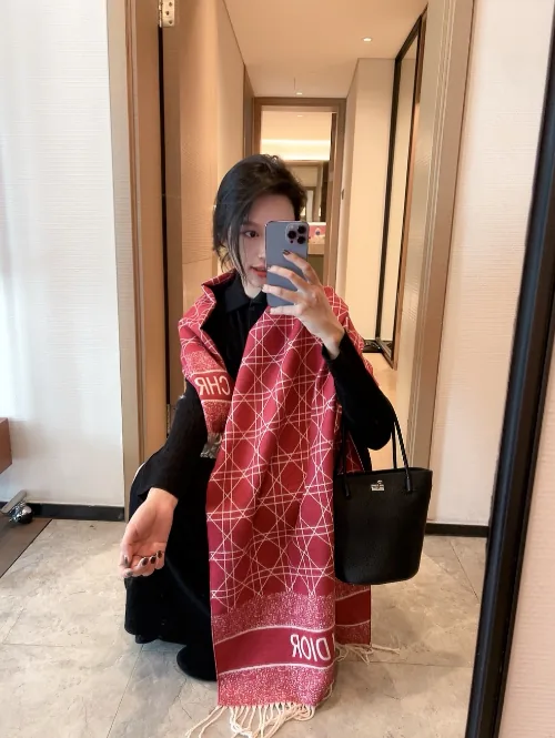 Dior Scarf — Photo 4