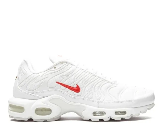 Nike Air Max Plus Supreme — QC