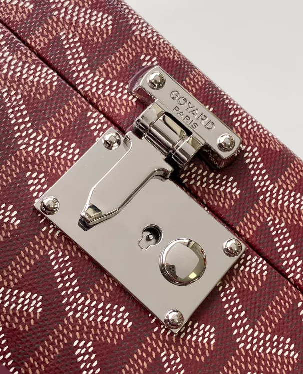 Goyard Watch Case Trunk Bag — photo 6