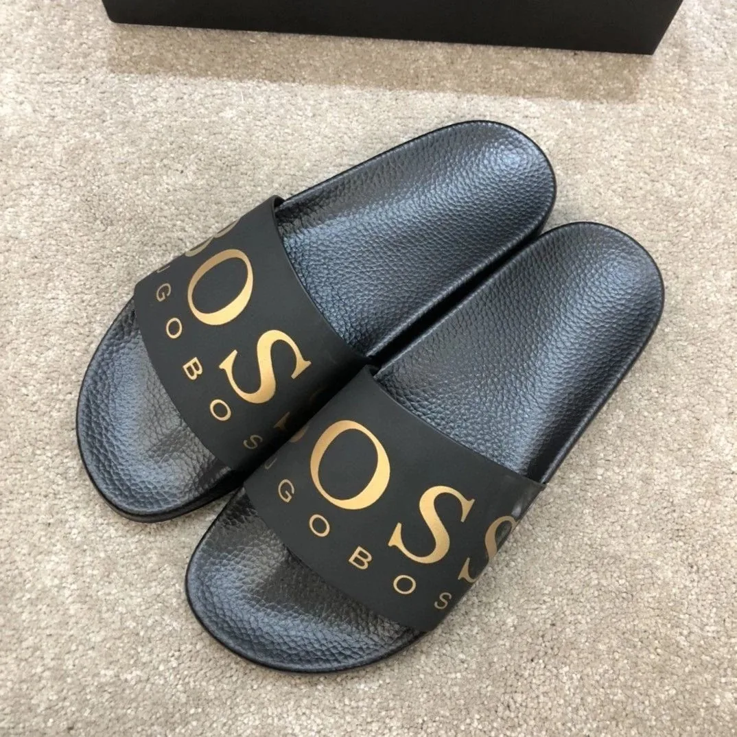 Bass Logo Slides — QC