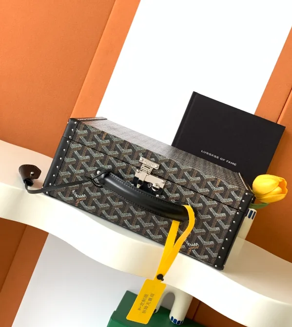 Goyard Watch Case Trunk Bag — photo 12