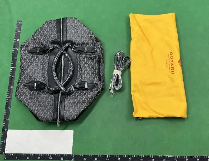 Goyard Travel Duffle Bag — Photo 13
